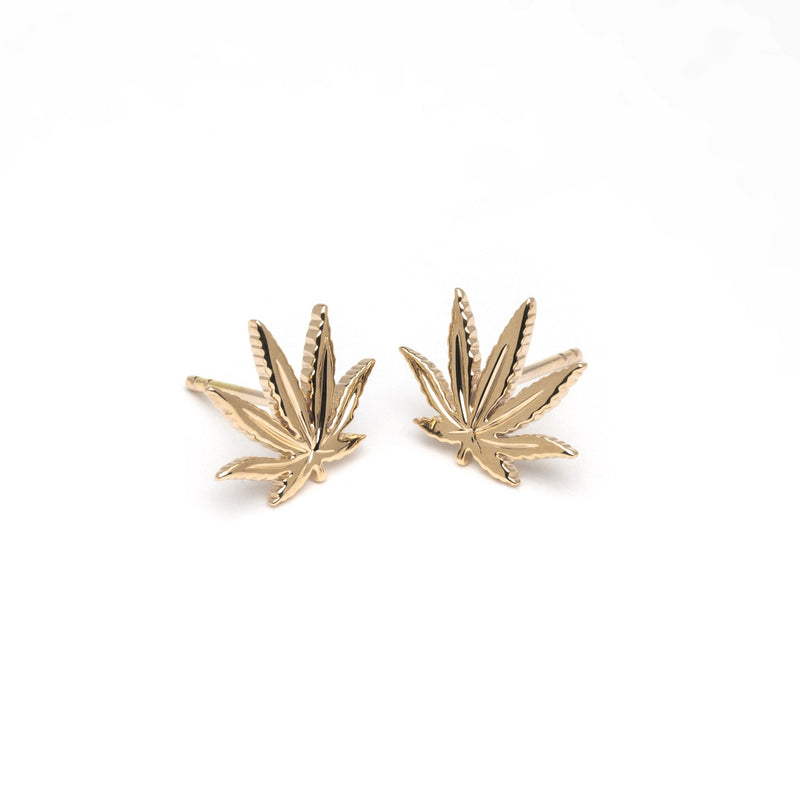 Gold Sativa Leaf Classic Stud Earrings